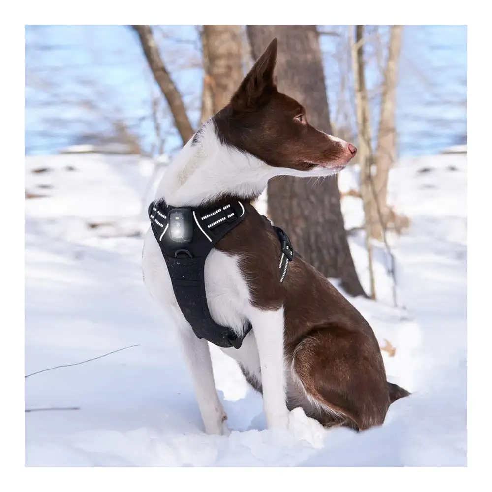 

Rechargeable Black Nylon LED Flash Light No Pull Adjustable Dog Harness Reflective Safety Pet Vest For Large Dogs LED Dog Collar