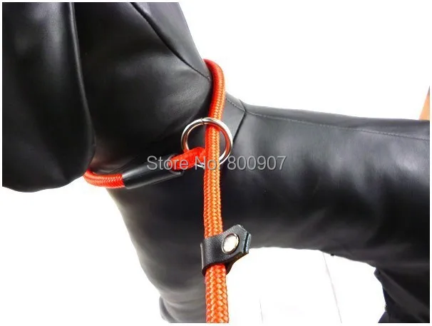 Нейлоновая веревка P Chock pooence Dog Pet Slip тренировочный поводок 3 цвета P поводок собачий поводок 5" 0,8 см(диаметр) 130 см длина
