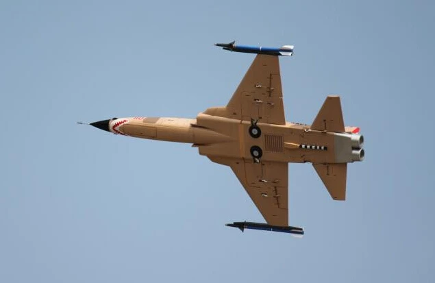 Freewing rc самолет F5 N Tiger 80 мм edf jet PNP 6S Стандартный и обновленная версия