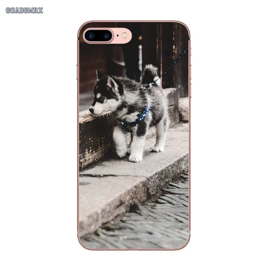 Прозрачные мягкие чехлы Pretty Siberian Husky Dogs для Samsung Galaxy S10 Lite J1 J2 J3 J5 J7 2015 2016 J4 J6 Plus J8 2018