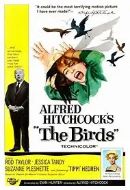 Классическая картина HITCHCOCK с изображением птиц шелковая фотокартина 24x36 дюймов 01