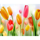 5D алмазная вышивка сделай сам, красочная Алмазная картина с тюльпаном, вышивка крестиком, полная квадратная мозаика стразы, украшение для дома, подарок