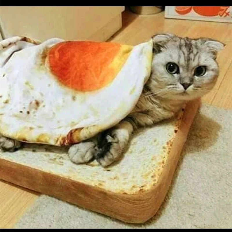 

Creative Omelette Pet Blankets Puppy Cat Short Plush Dog Bed Durable Warm Poached Eggs Blanket Mats Pet Bed For Dog Cat Plaid