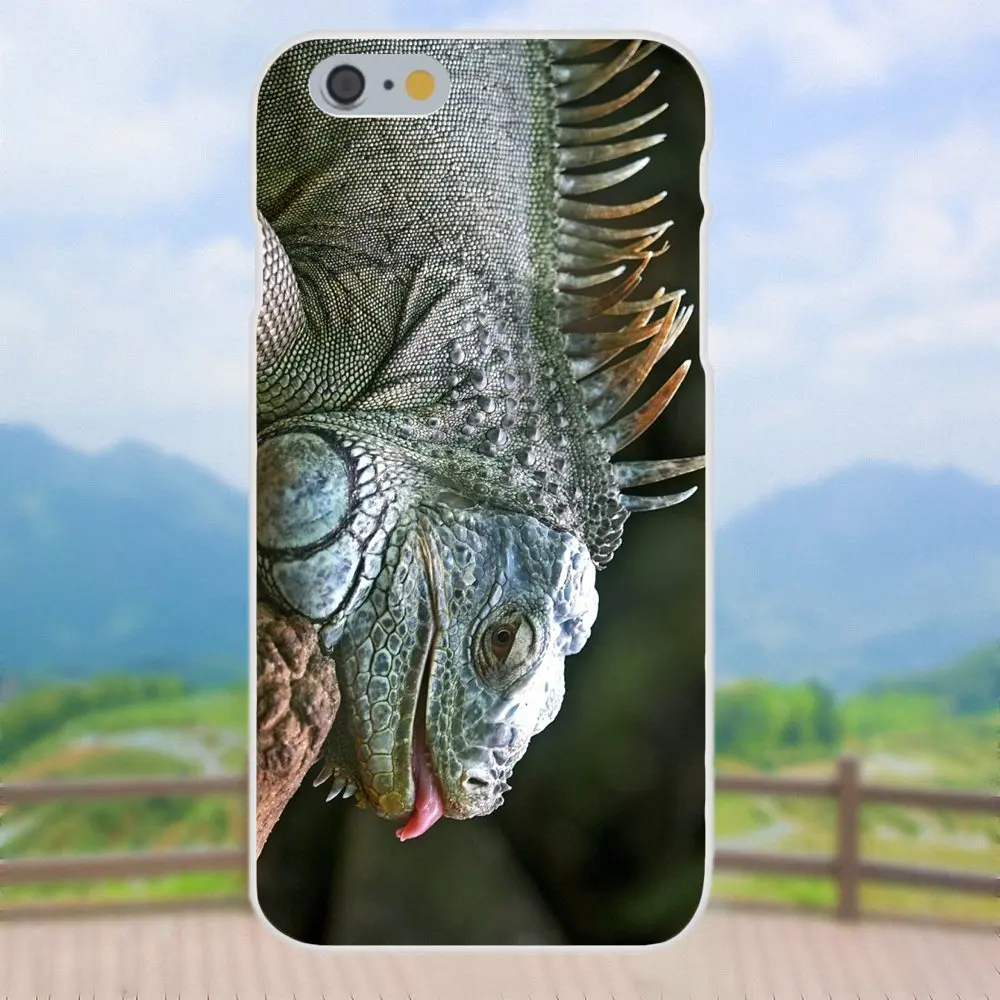 Чехол из ТПУ для Xiaomi Redmi Note 2 3 3S 4 4A 4X5 5A 6 6A Pro Plus чехол Iguana Lizard Animal Бразилия Iguacu