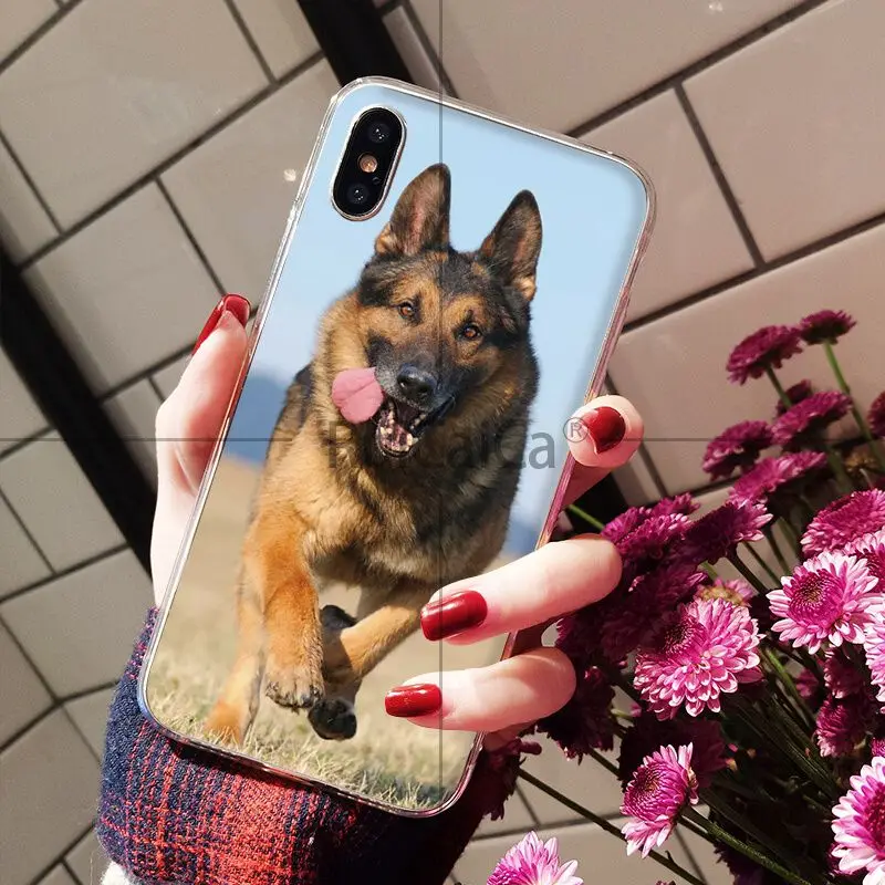 Мягкий чехол для мобильного телефона Ruicaica с рисунком немецкой овчарки Apple iPhone 8 7 6