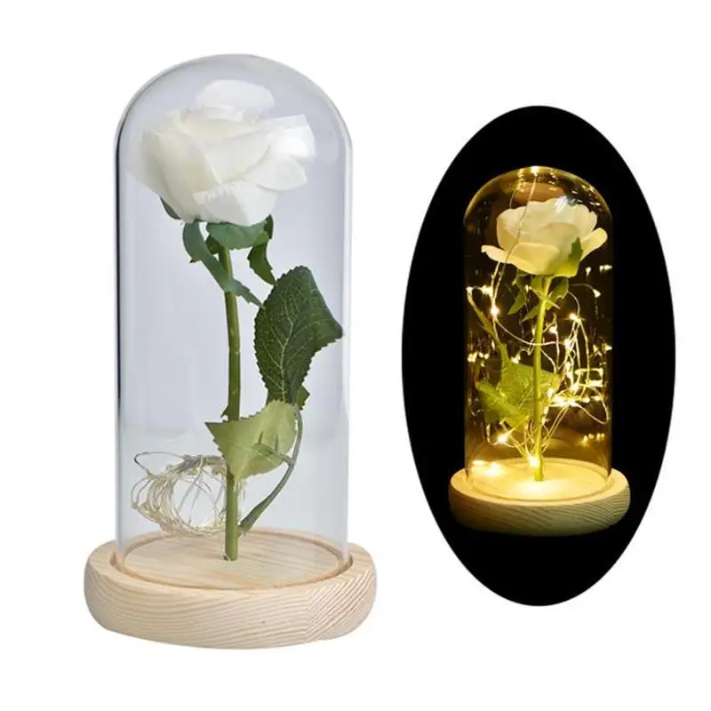Mother Day Gift LED Beauty and the Beast Red Rose w/ Fallen Petals in a Glass Dome on Wooden Base Christmas Valentine's Gifts |