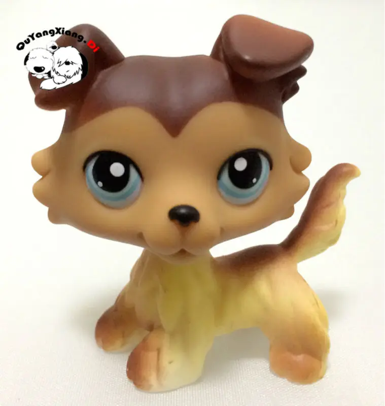 CWG046 Pet Shop животные редкие коричневые искусственные голубые глаза пазл фигурка