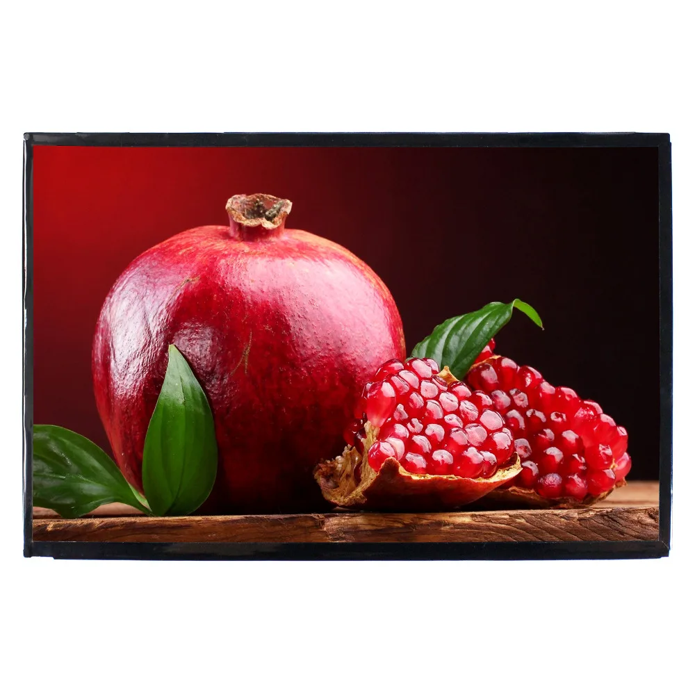 

10.1" VVX10T014M00 2560x1600 IPS LCD Screen 10.1inch LCD Panel