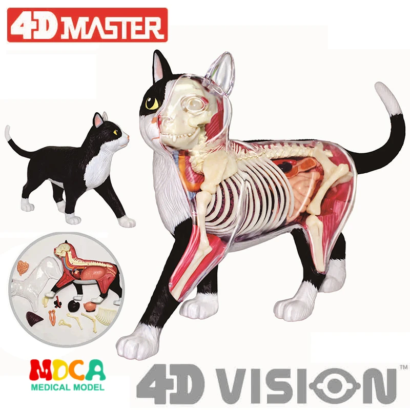 

Головоломка 4d в виде черно-белого кота, игрушка для сборки животных, биология, анатомическая модель для медиков, обучающая модель