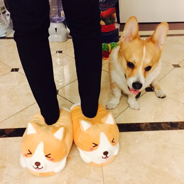 Corgi/хлопковая обувь с собачкой Зимние теплые домашние тапочки для пар