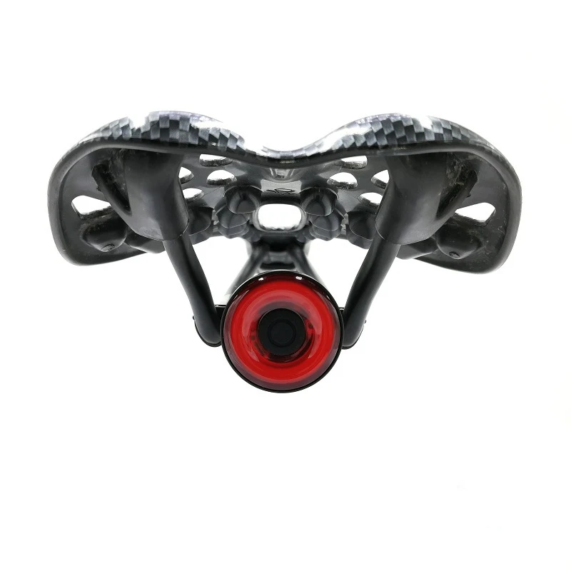 Xlite100 велосипедный задний светильник Интеллектуальный тормоз индукционный Usb