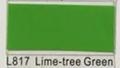 L817 Lime-tree Green STIZZY настенные Месси Футбол звезды стены наклейки футболист подкладке Спальня Книги по искусству съемный Спорт Плакат Клей DecorA714 - Цвет: L817 Lime-tree Green