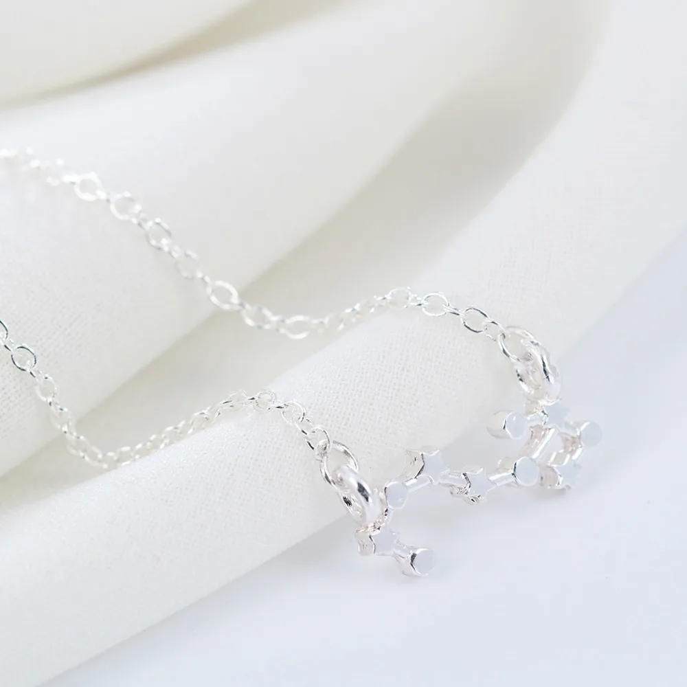Kinitial Birthday Gift! 10pcs Gold Silver Scorpio Necklace Zodiac Sign Astrology Constellation Horoscope 24/10-22/11 | Украшения и