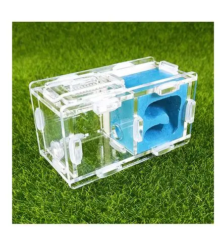 Мини-штукатурка Муравьиное гнездо 2 комнаты искусственный дом Москитная клетка