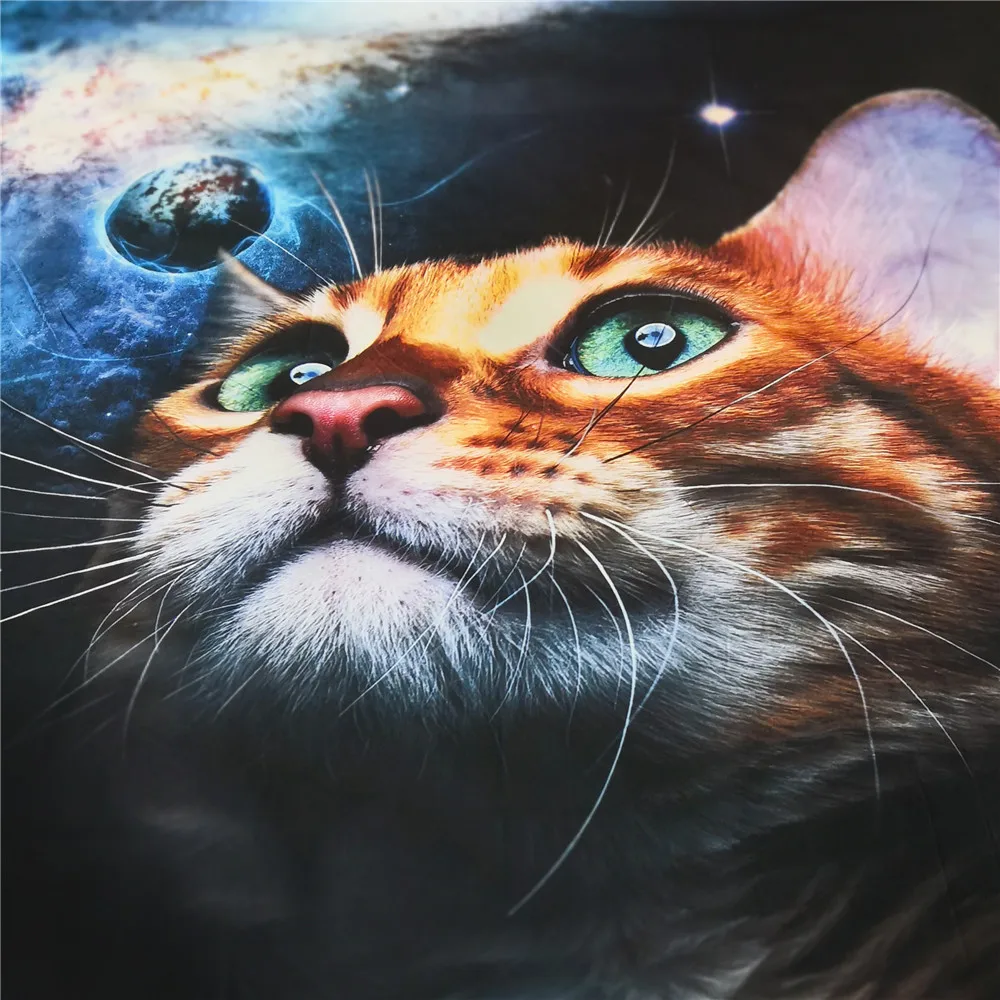 3D Galaxy Cat постельное белье Комплект постельного белья из микрофибры одеяло