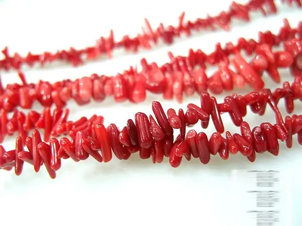 

Red coral beads wholesale bulk amorphous semi-