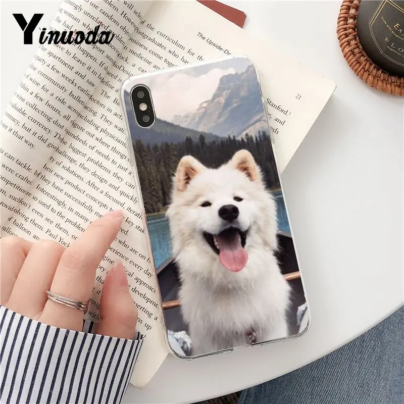 Yinuoda Dog Pomeranian Новое поступление Прозрачный чехол для телефона iPhone 5 5Sx 6 7 7plus 8 8Plus X XS