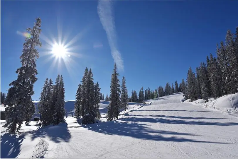 Индивидуальные обои с природным пейзажем Восход Лес снежное дерево 3D фотообои