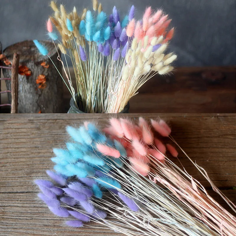 20 шт./партия фон для фотосъемки 6 цветов|dried plants|rabbit tail grassgrass art |