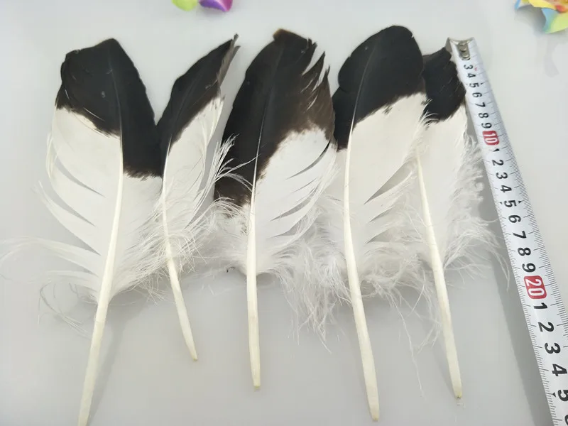 Бесплатная доставка Оптовая продажа 10 шт. дефицитные натуральные золотые перья