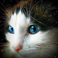 new full dimond mosaic cross stitch unfinished diy 5d diamond painting cat face with blue eyes needlework diamond embroidery