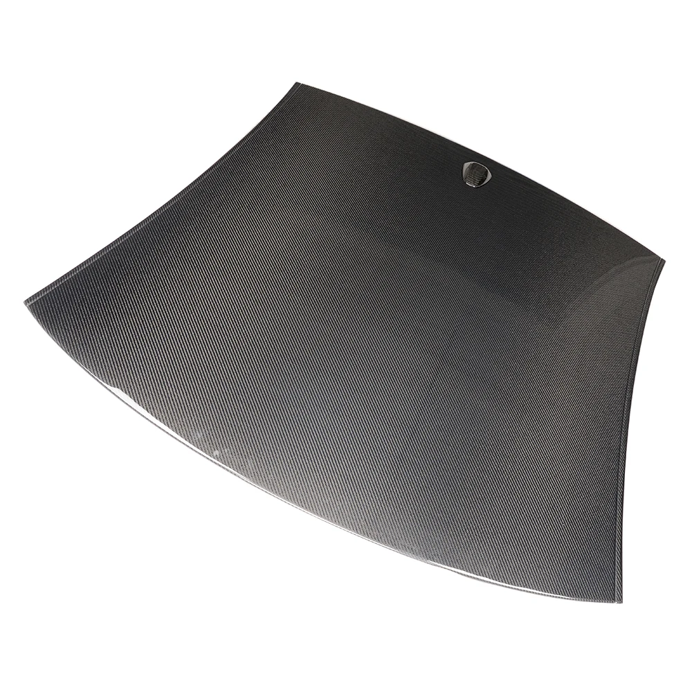 Carbon Fiber Roof