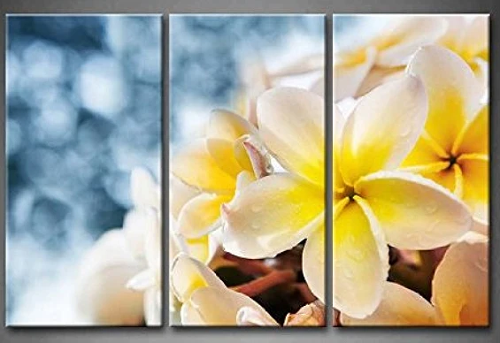 Комплект из 3 предметов картина стены художественный декор печати плакат с