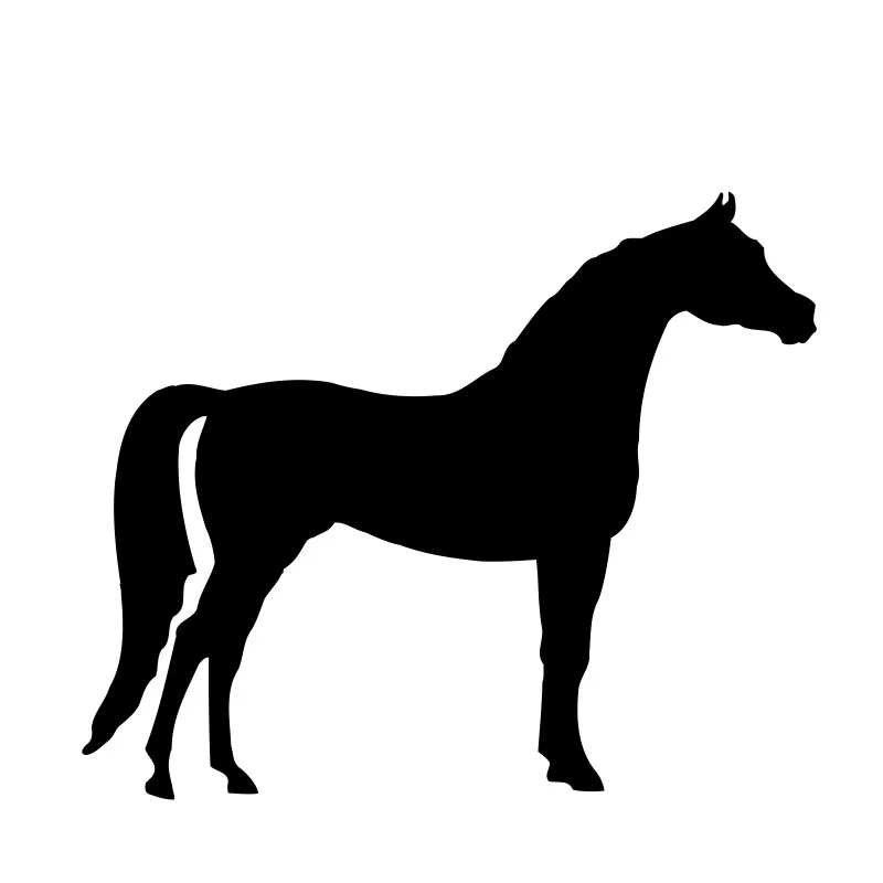Беговая лошадь ноутбук силуэт стикер для автомобиля Стайлинг изысканный дизайн