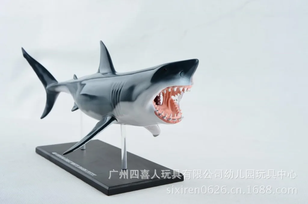 Прозрачный 4D пазл сборка животных модель Акула Анатомия собранная модель с костями и органами 13,5 см* 7 см* 13 см