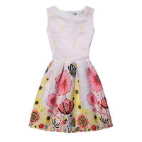2018 summer new europe and the united states printed sleeveless vest dress a word princess dress