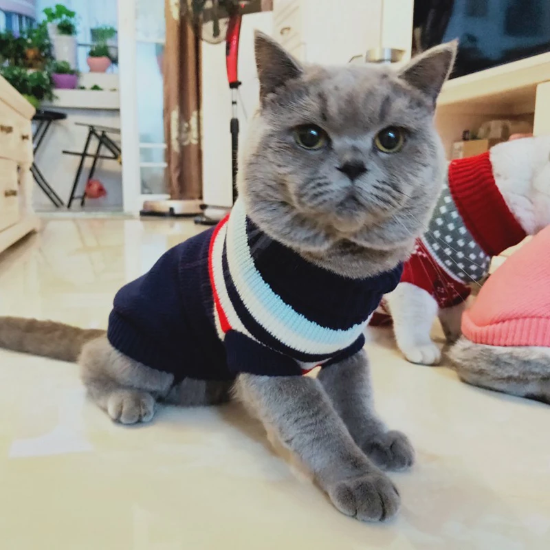Зимняя теплая одежда для домашних животных, котов изображением кота из мультика для кошек Kedi Katten пуловер домашних животных Костюмы Mascotas Gotas костюм vetement чат