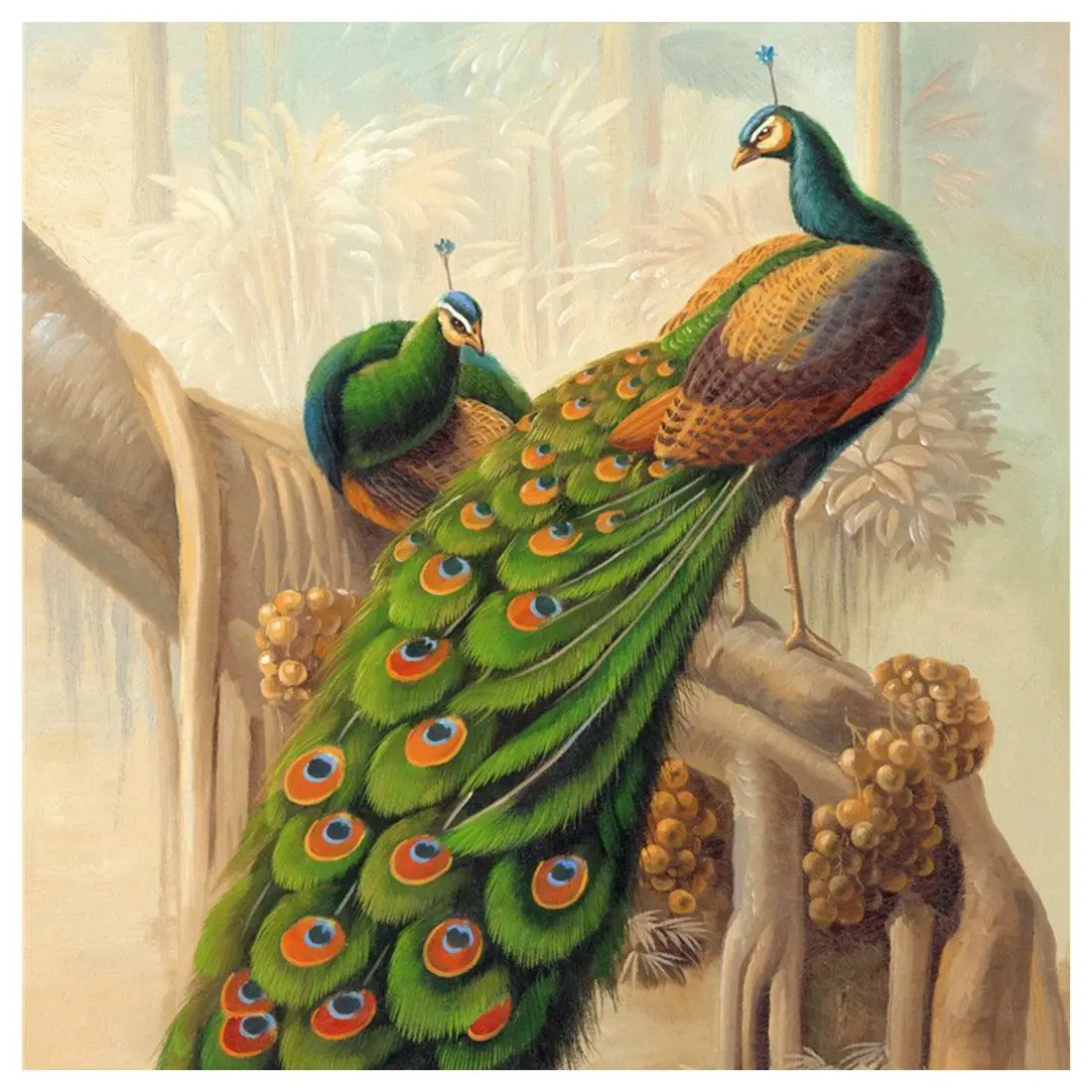 3x5ft Фон фотографии Красота Павлин индивидуальные винил фото Задний план студии