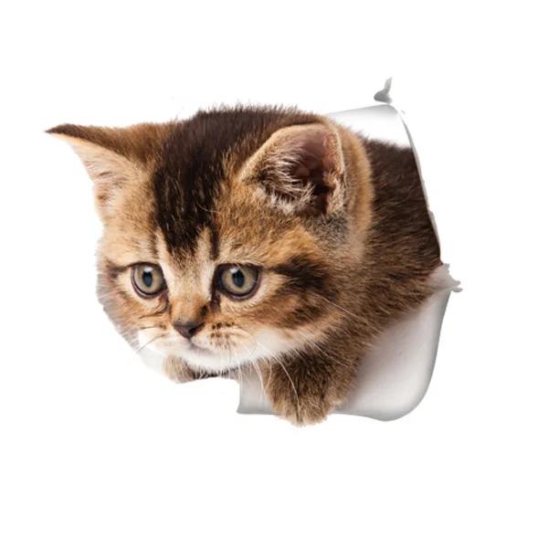 cat19 3D стикер на стену с изображением кошек, наклейки на туалет с отверстием для просмотра, яркие собаки, ванная комната для украшения дома, виниловые художественные наклейки с изображением животных - Цвет: cat19
