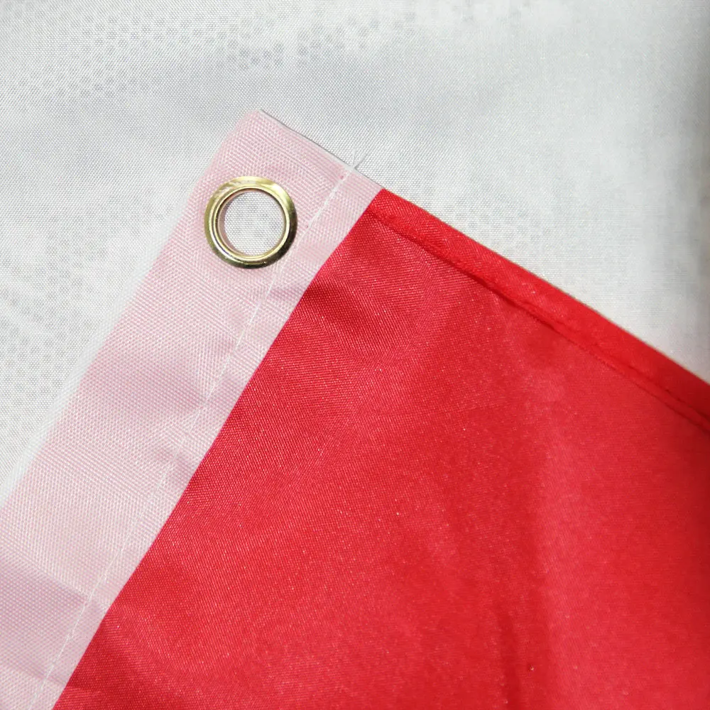 Candiway власть Канады баннер канадского флага Оттава Канада День красного цвета в