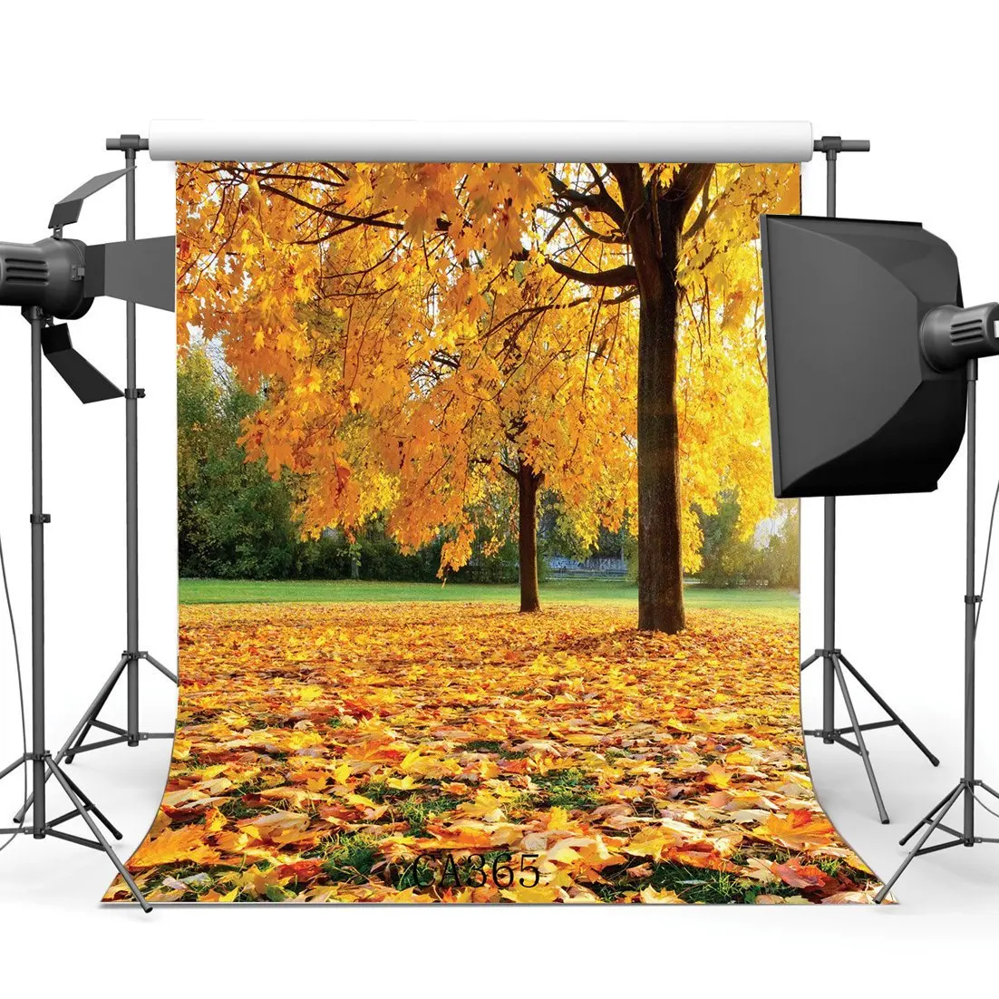 

Photography Backdrop Rural Forest Trees Fall Leaves Nature Autumn Scene Portraits Background Photo Studio Prop CA365