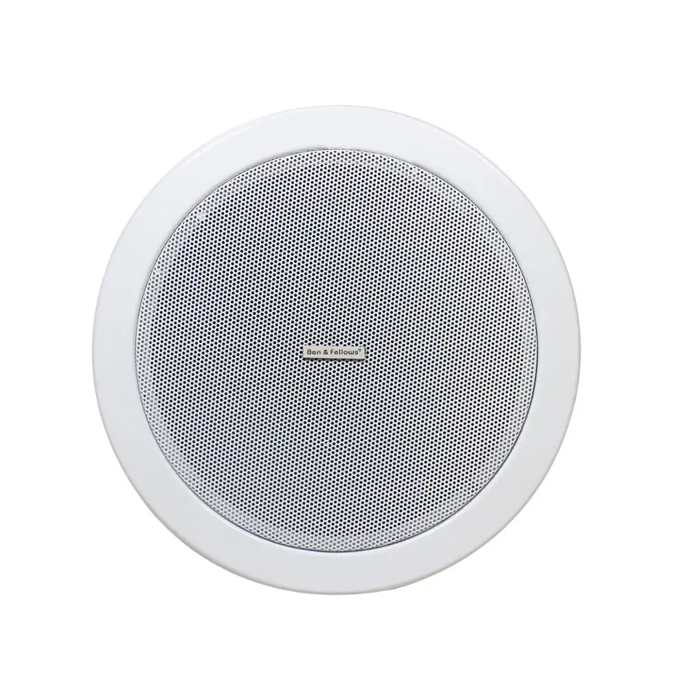 

Pro Dante 6 Inch 15 Watt Metal In Ceiling Speaker with RJ45 Interface Supporting 24VDC or PoE Power Supply