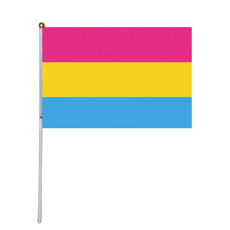 Бесплатная доставка xvggdg 100 шт 14*21 см пользовательский ручной флаг Pansexual Pride
