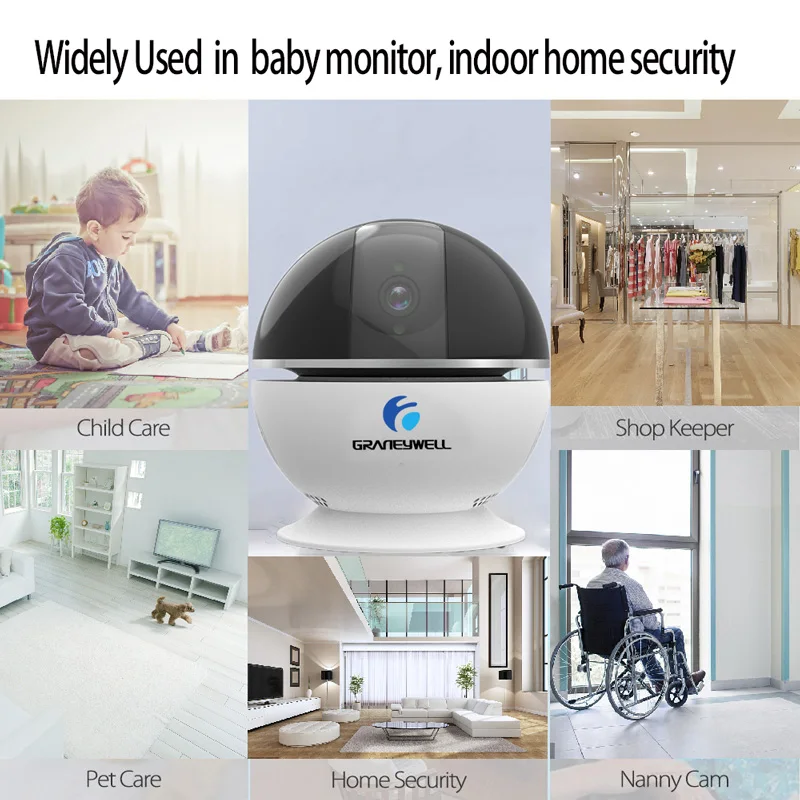 Graneywell Wi-Fi IP камера 1080P Bluetooth динамик мини Смарт ночное видение Videcam видеоняня