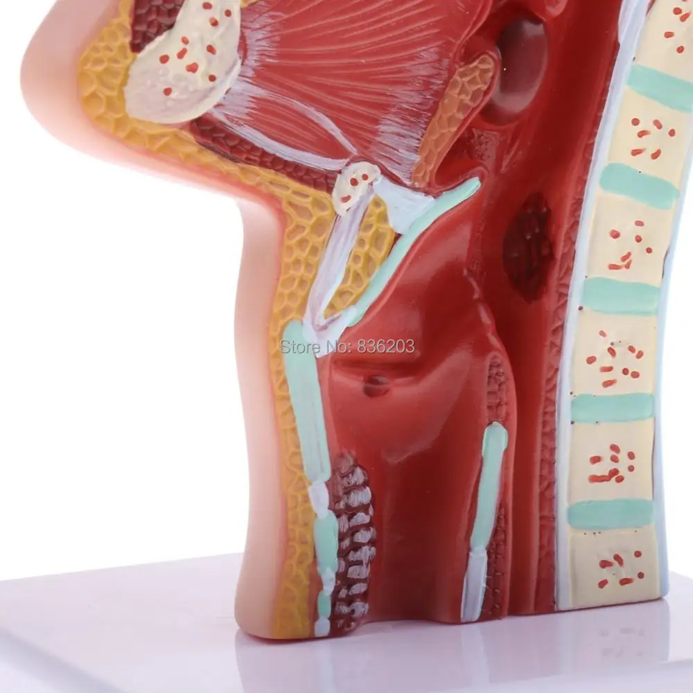 Полноразмерный травматический пистолет купить презервативы медицинские
