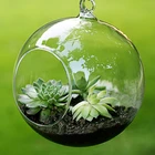 Подвесной стеклянный цветочный плантатор, ваза, бутылка 81015 см, декор террариума Mini, прозрачный настенный шар, Цветочный подвесной стеклянный резервуар