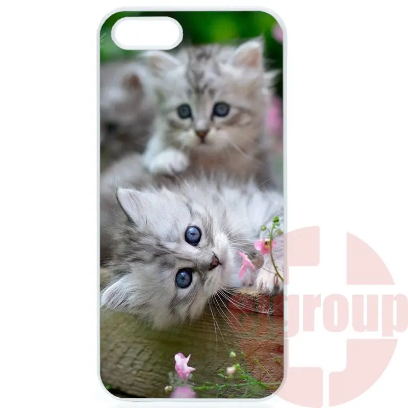 Печати Телефон серый кот с зенит камеры Для Apple iPhone 4 4S 5 5C SE 6 S 7 Плюс 4.7 5.5 iPod Touch |