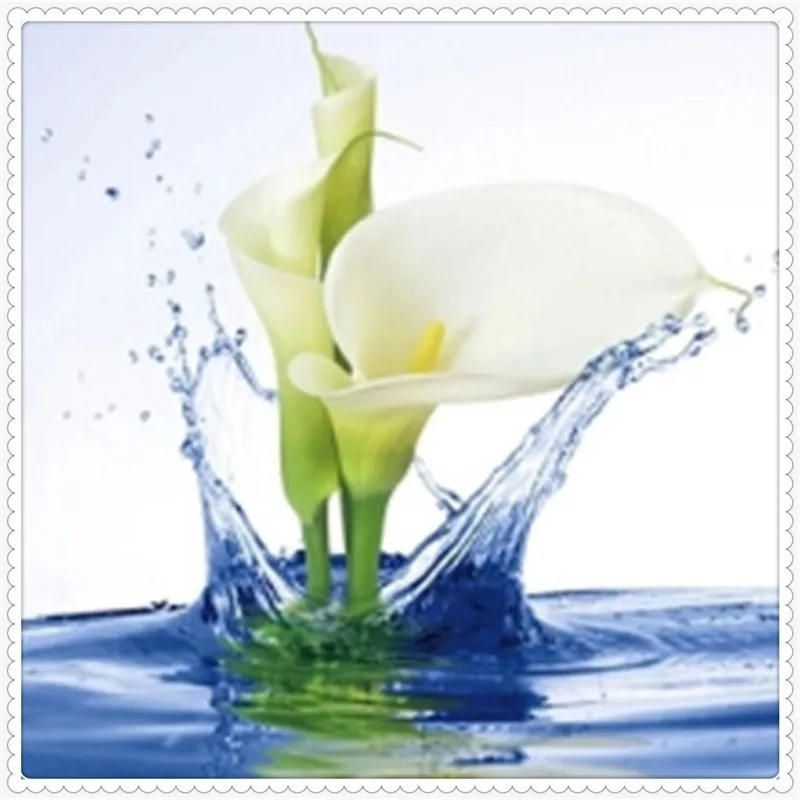Алмазная 3D вышивка Calla Lily 70x70 см|home care health care|decoration home modernhome decor spheres |