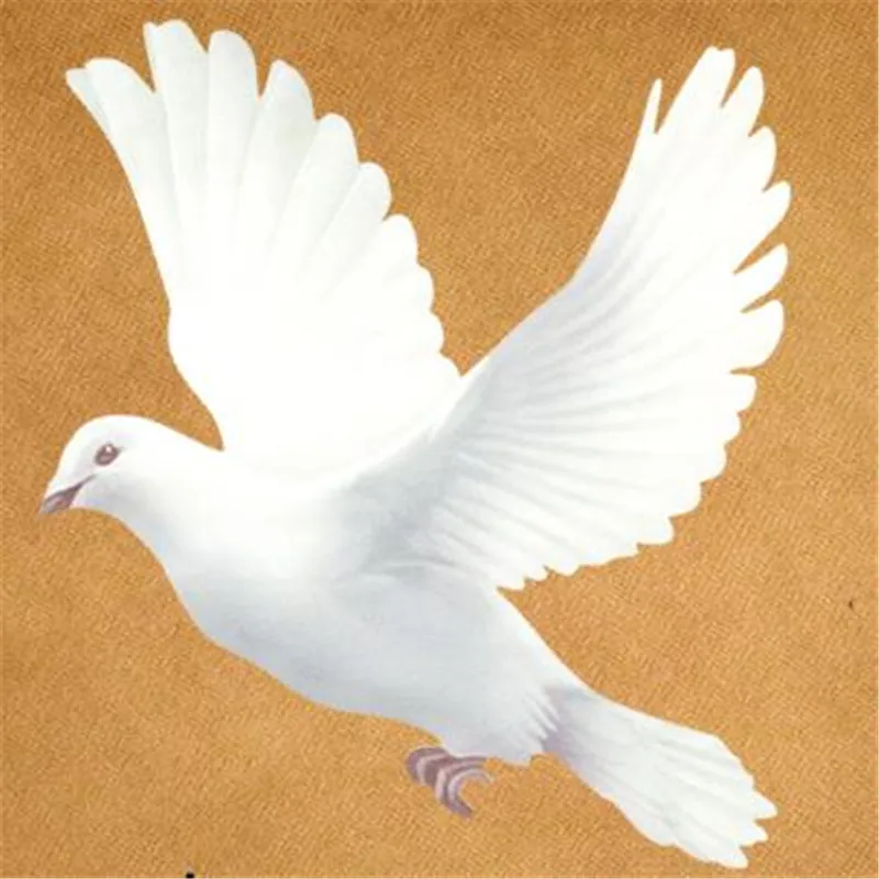 

T shirt Women patch 17cm peace dove iron on patches for clothing transfer printing clothes for girls DIY street icon stickers