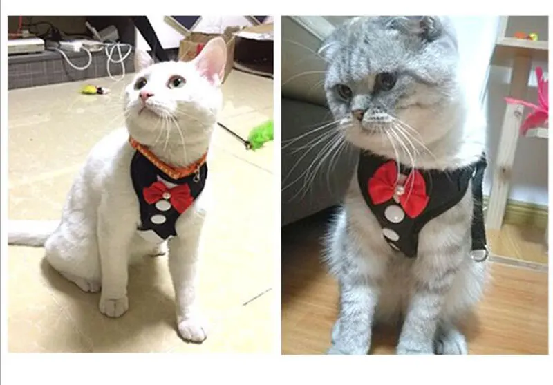 Новая модель шлейка для животных маленькая собачка Тедди Тип жилета полное