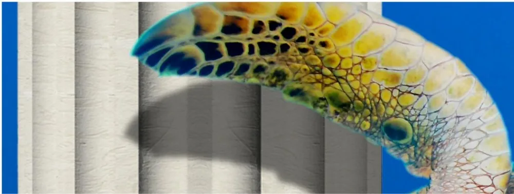 Пользовательские 3d фото обои тема морской мир римские 3D стереоскопический