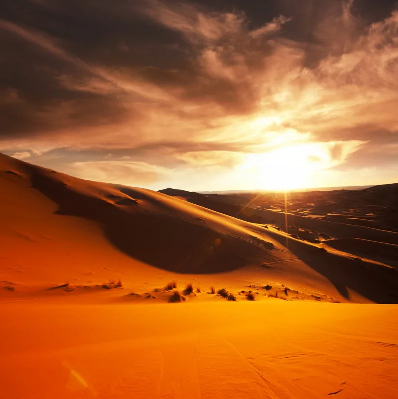 

10x10FT Dark Clouds Sunset Sky Orange Sand Desert Dune Scene Custom Photography Studio Backdrops Background Vinyl 8x8 8x10