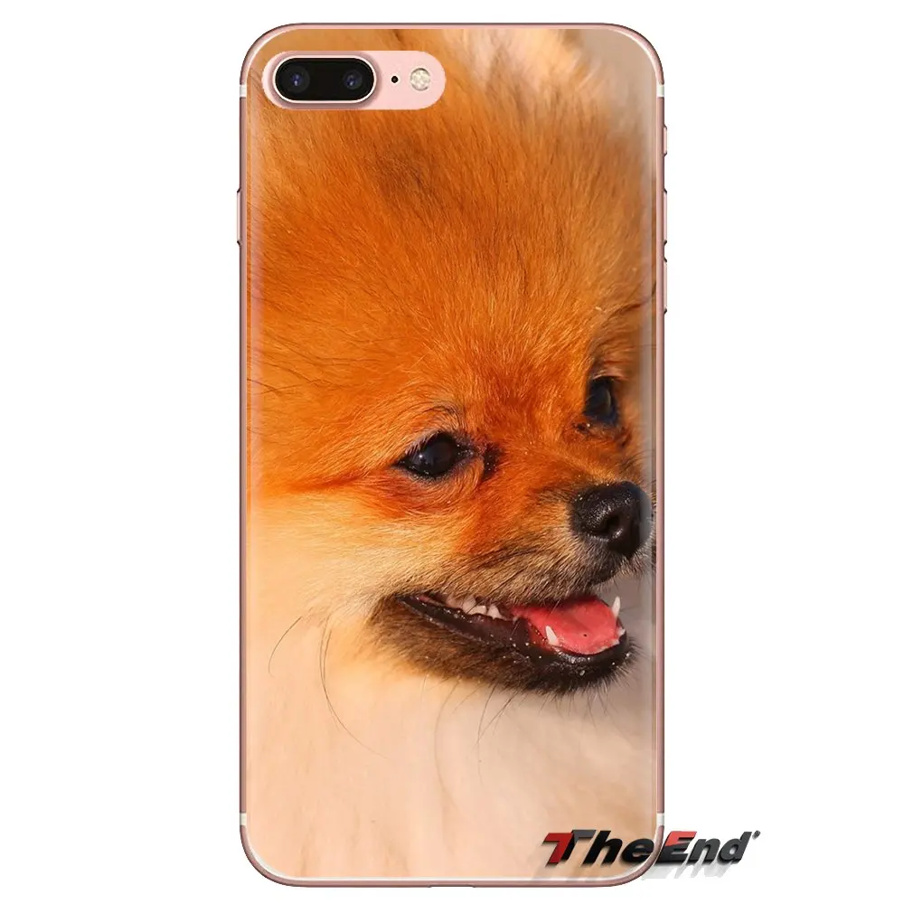 Pomeranian puppy dog для Oneplus 3T 5T 6T Nokia 2 3 5 6 8 9 230 3310 1 7 Plus 2017 2018 прозрачные мягкие чехлы |