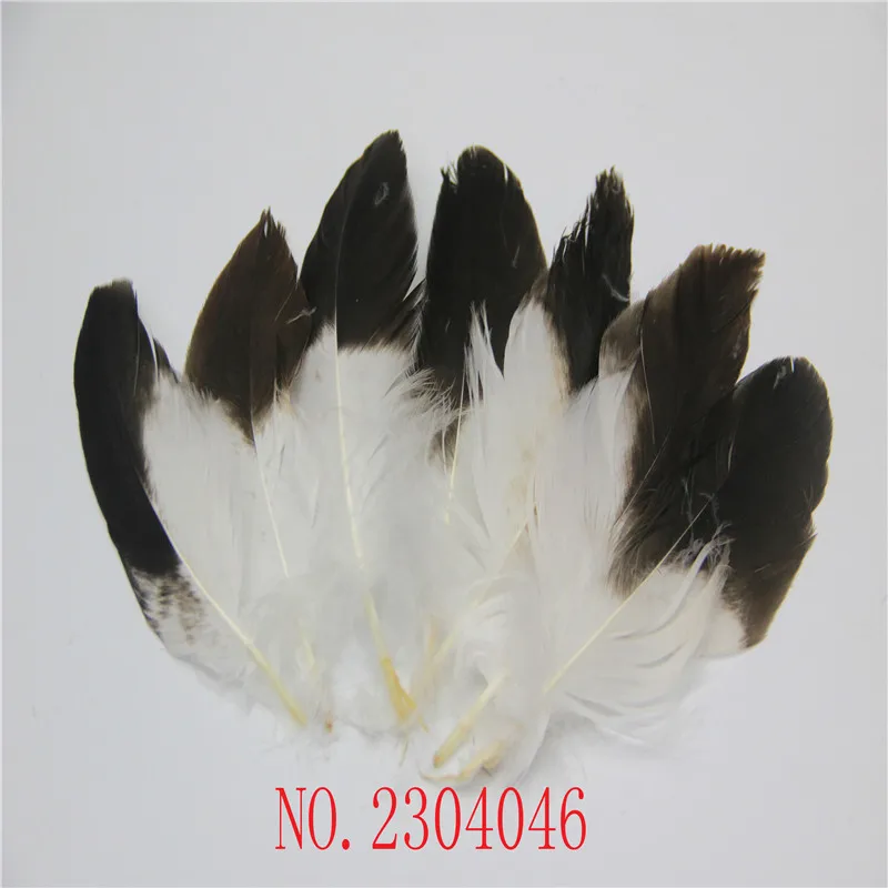 Оптовая продажа 10 шт. скудные природные Golden Eagle 6 до 8 дюйм(ов) (15 20 см) жесткий DIY