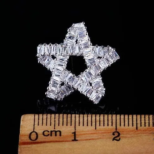 

High - grade pure needle jewelry wild exquisite star zircon earrings