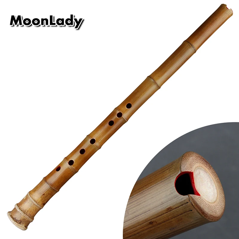 Chinese Bamboo Flute Not Shakuhachi Traditional Woodwind Musical Instrument Vertical Bambu Flauta Nan Xiao G/ F key for Beginner